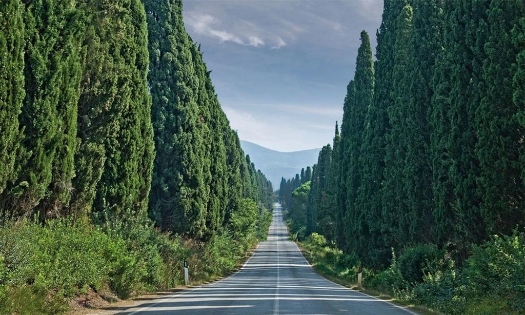 Agriturismo Ss Annunziata San Vincenzo Bagian luar foto