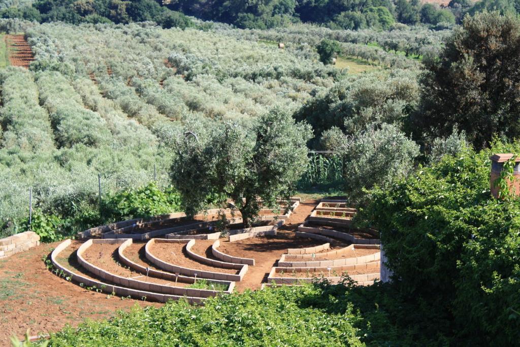 Agriturismo Ss Annunziata San Vincenzo Bagian luar foto