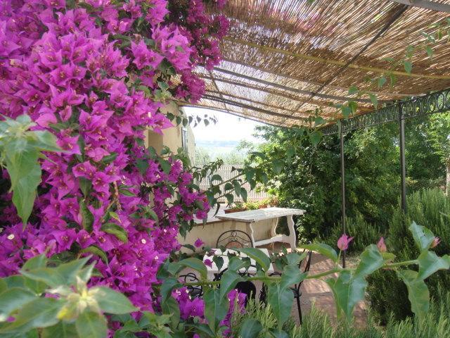 Agriturismo Ss Annunziata San Vincenzo Bagian luar foto