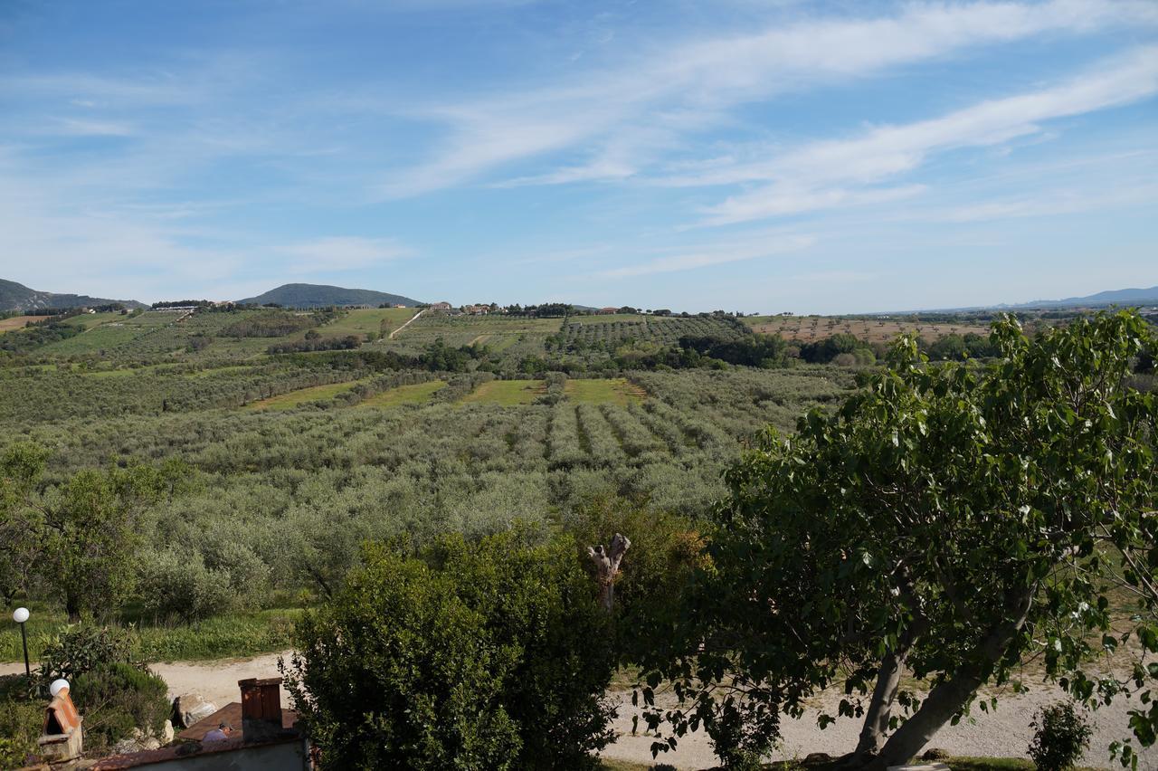 Agriturismo Ss Annunziata San Vincenzo Bagian luar foto
